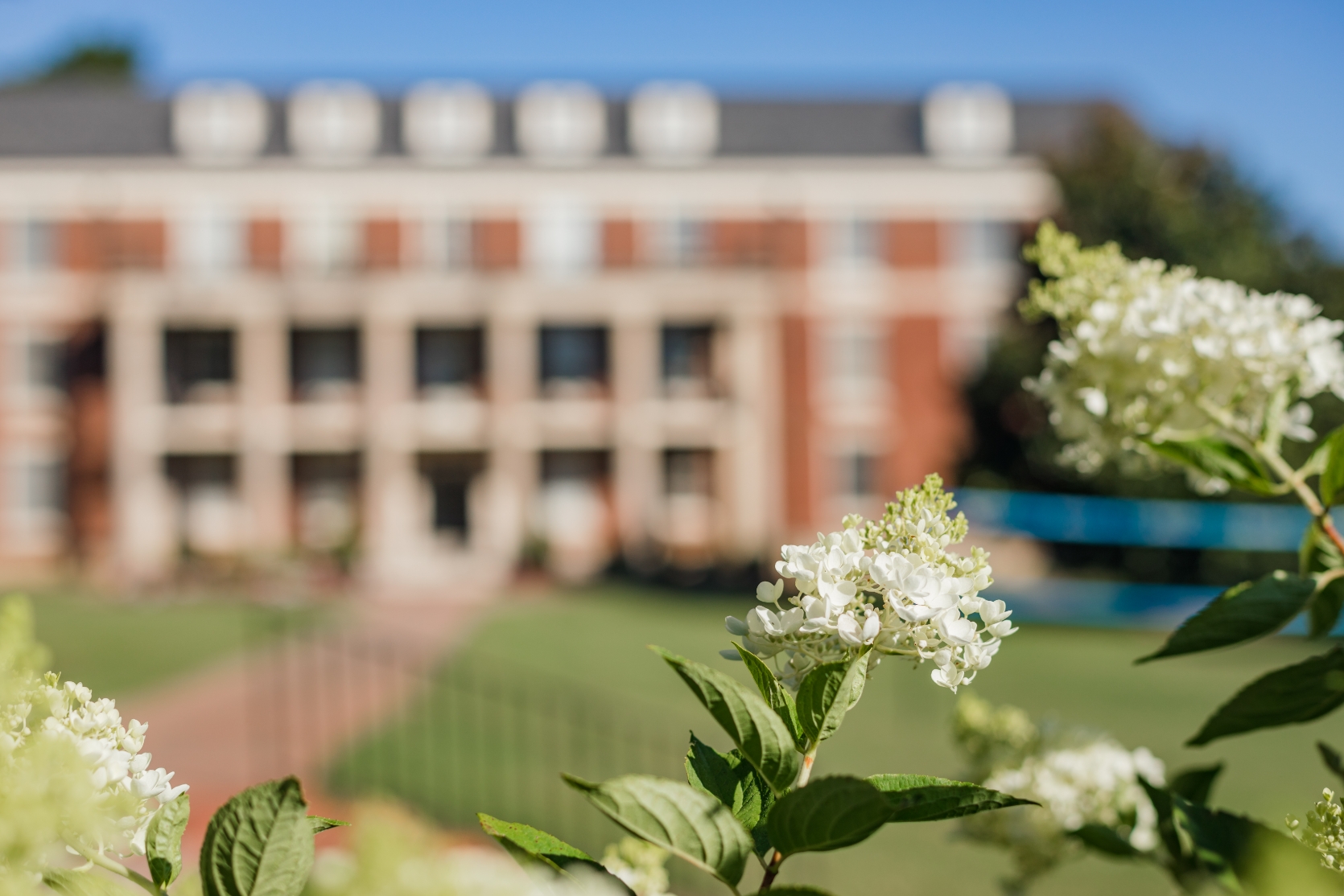 About Judson College